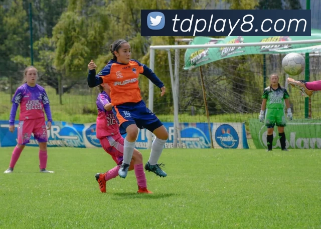 腾达娱乐官网服务体系